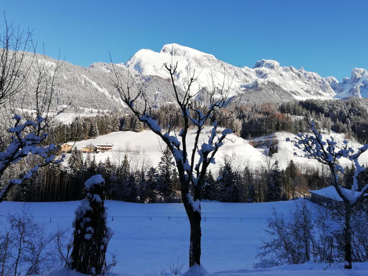 Ferienwohnung Wohlesser Annaberg im Lammertal Exteriér fotografie